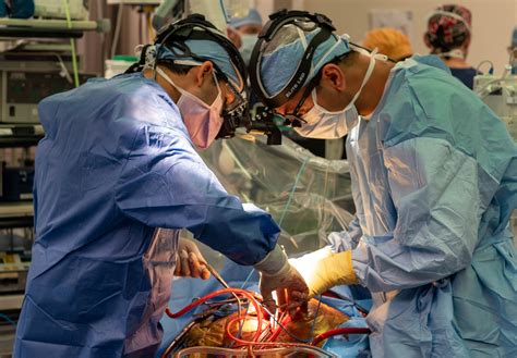 Inside the mind of the man who wants to transplant .